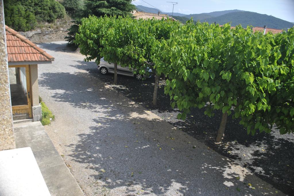 Hostal El Violi Cardona Rom bilde